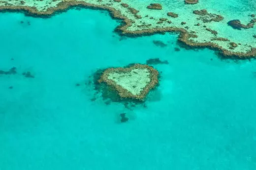 The Biggest Natural Wonder in the World - The Great Barrier Reef